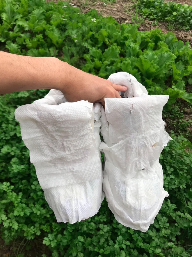 Bí kíp làm sạch giày trắng, bóng bẩy y như lúc đầu từ anh chàng mê sneaker, mau triển theo để có giày đẹp chơi Tết - Ảnh 3.