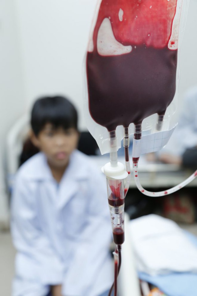 Khẩn: Thiếu 13.000 đơn vị máu dịp Tết, Viện Huyết học kêu gọi cộng đồng hiến máu và tiểu cầu - Ảnh 4.