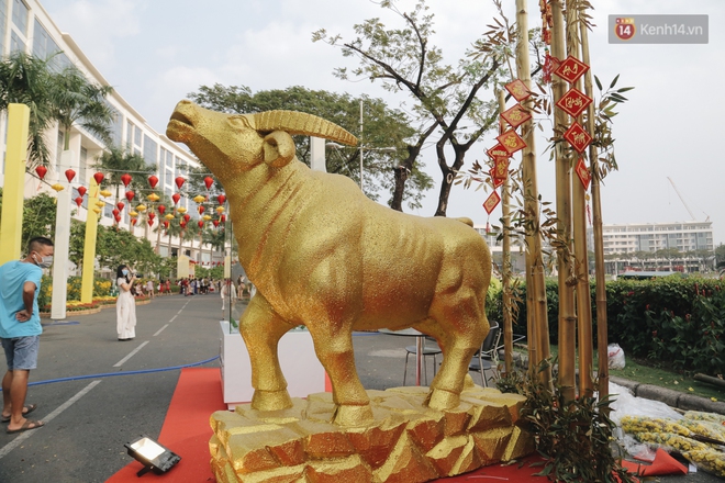 Cận cảnh đường hoa Tết Tân Sửu 2021 phong cách tối giản tại phố nhà giàu Sài Gòn - Ảnh 2. Cận cảnh đường hoa Tết Tân Sửu 2021 phong cách tối giản tại phố nhà giàu Sài Gòn - Ảnh 2.