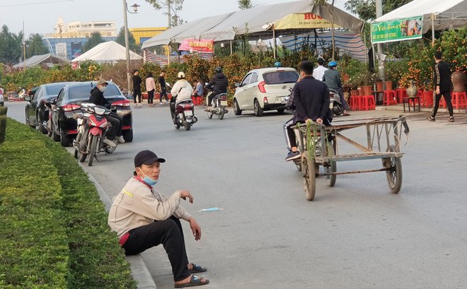 Cửu vạn chở cây cảnh thuê dài cổ chờ việc ở chợ hoa Tết - Ảnh 3.