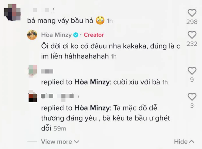 Netizen đặt nghi vấn mang thai lần 2, Hoà Minzy có phản ứng lầy lội gợi nhớ chuyện bí mật sinh con năm xưa - Ảnh 3.