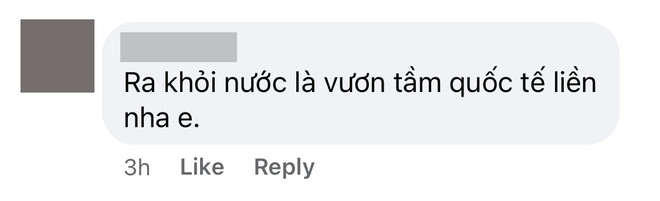 Dế Choắt liên tục bị cà khịa khi lên mạng xã hội nhờ chỉ cách vươn tầm quốc tế: Đạo nhạc nha! - Ảnh 5.