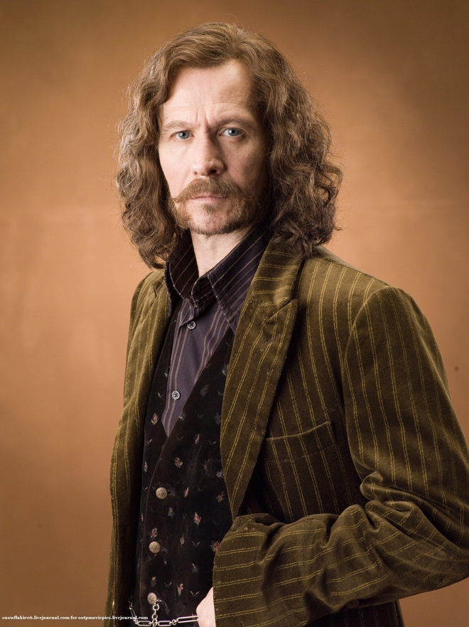 harry-potter-gary-oldman-sirius-black-2248x3000-wallpaperwwwwallpapernamecom86-161556123343691612251.jpg