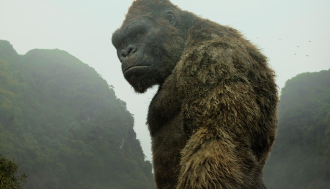 Soi tiểu sử 2 qu&aacute;i th&uacute; đối đầu trong bom tấn Godzilla vs. Kong: Ai mới l&agrave; nh&agrave; v&ocirc; địch? - Ảnh 7.