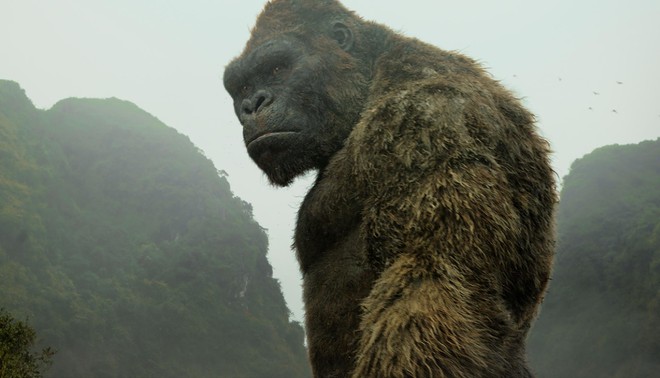 Soi tiểu sử 2 quái thú đối đầu trong bom tấn Godzilla vs. Kong: Ai mới là nhà vô địch? - Ảnh 7.