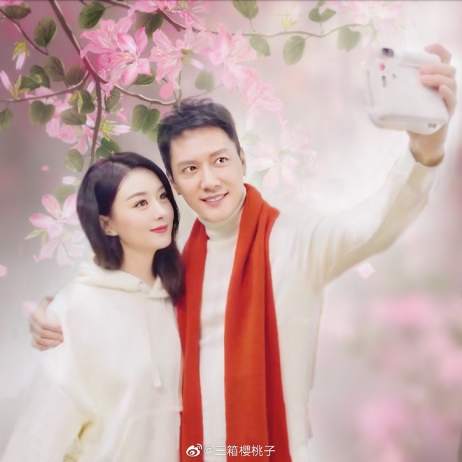 Nguồn tin mật tiết lộ Triệu Lệ Dĩnh - Phùng Thiệu Phong chính thức ly hôn, chi tiết drama nhắc tới tên Dương Mịch - Ảnh 4.