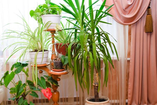 Nh&agrave; c&oacute; sang đến đ&acirc;u m&agrave; giữ 10 m&oacute;n đồ n&agrave;y th&igrave; vẫn sẽ rẻ tiền đi tr&ocirc;ng thấy - Ảnh 6.