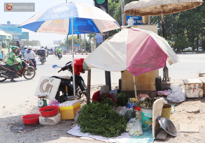 Cụ bà ngủ gục giữa cái nắng 37 độ ở Sài Gòn để bán từng bó rau: "Ngoại có tới 12 đứa con nhưng ngoại đi bán vầy sống cho khỏe…" - Ảnh 2.