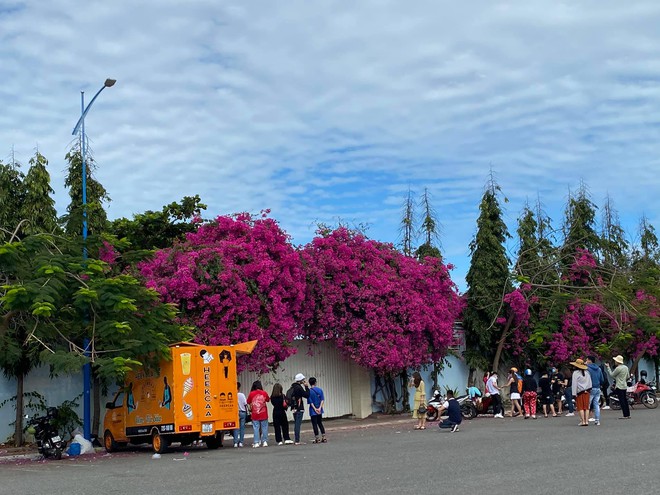 Giàn hoa giấy cực phẩm ở Vũng Tàu sau khi gây bão: Đông nghẹt người kéo tới check-in, muốn có hình đẹp phải chịu khó… xếp hàng? - Ảnh 2.