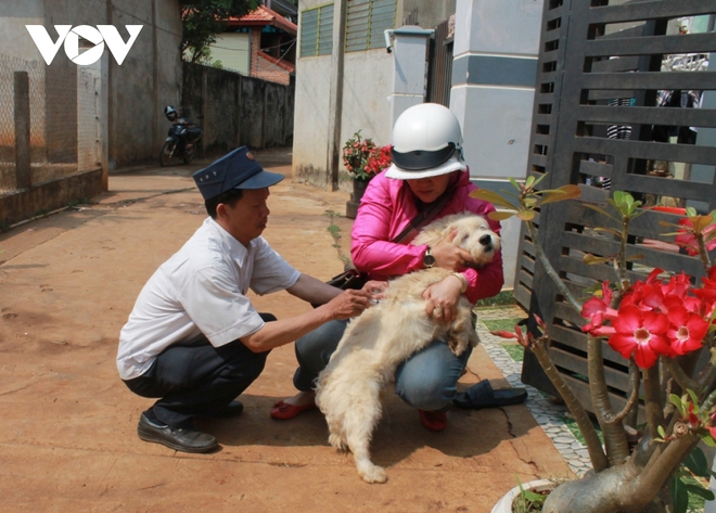 Đắk Lắk ghi nhận một trường hợp tử vong do bệnh dại - Ảnh 1.