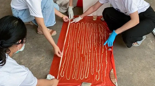 Ăn nhiều thịt bò sống, người đàn ông xì hơi ra sán dây dài 18m phá vỡ mọi kỷ lục - Ảnh 1. Ăn nhiều thịt bò sống, người đàn ông xì hơi ra sán dây dài 18m phá vỡ mọi kỷ lục - Ảnh 1.