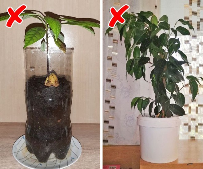 13 lỗi b&agrave;i tr&iacute; từ thời &ocirc;ng b&agrave; l&agrave;m kh&ocirc;ng gian hiện đại của bạn trở n&ecirc;n k&eacute;m sang - Ảnh 9.