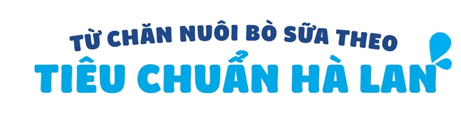 25 năm sữa Cô Gái Hà Lan đã “bén duyên” với đất nước, con người Việt Nam như thế nào - Ảnh 1.