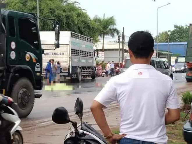 Hai vợ chồng từ Bình Thuận sang Đồng Nai làm thuê bị xe tải tông chết thương tâm - Ảnh 2.