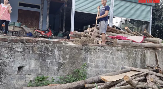Video điều tra: Sự thật về c&aacute;c thần y... nh&agrave; t&ocirc;i ba đời chữa bệnh (phần 1) - Ảnh 2.