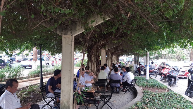 Gi&agrave;n hoa giấy tuyệt đẹp bị cưa hạ: Y&ecirc;u cầu c&ocirc;ng an điều tra - Ảnh 3.