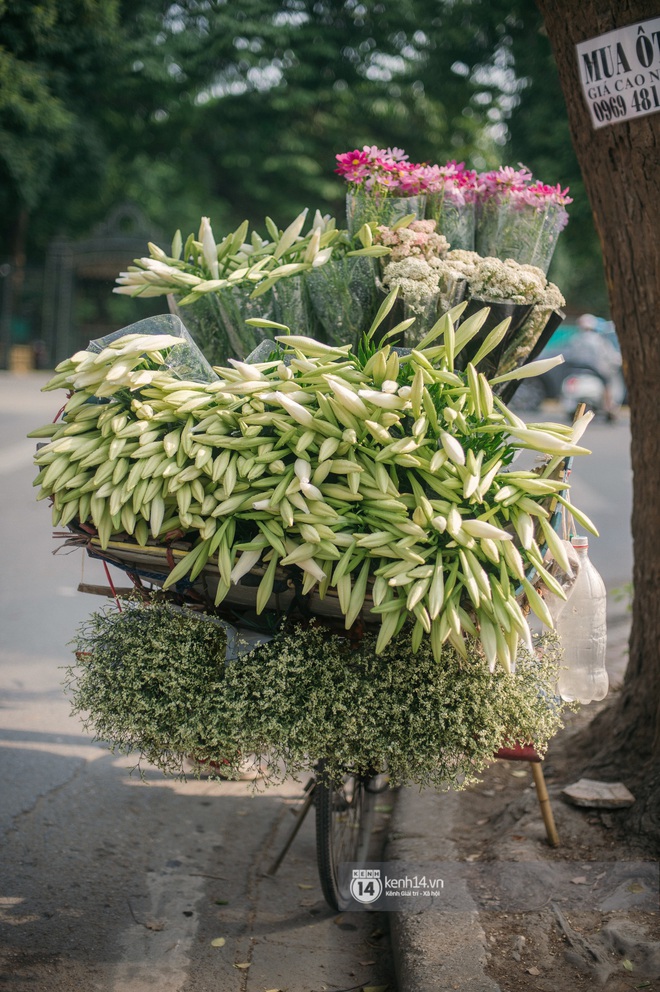 Hà Nội những ngày tháng 4, đi đâu cũng thấy bóng dáng loài hoa mỏng manh, tinh khôi và trong veo - Ảnh 1.