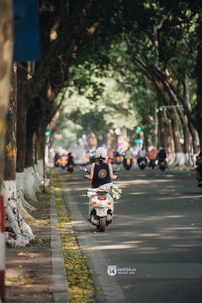 Hà Nội những ngày tháng 4, đi đâu cũng thấy bóng dáng loài hoa mỏng manh, tinh khôi và trong veo - Ảnh 4.