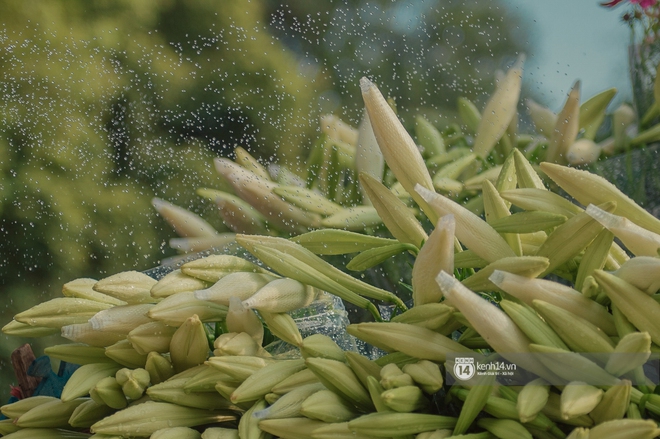 Hà Nội những ngày tháng 4, đi đâu cũng thấy bóng dáng loài hoa mỏng manh, tinh khôi và trong veo - Ảnh 2.