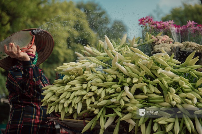 Hà Nội những ngày tháng 4, đi đâu cũng thấy bóng dáng loài hoa mỏng manh, tinh khôi và trong veo - Ảnh 2.