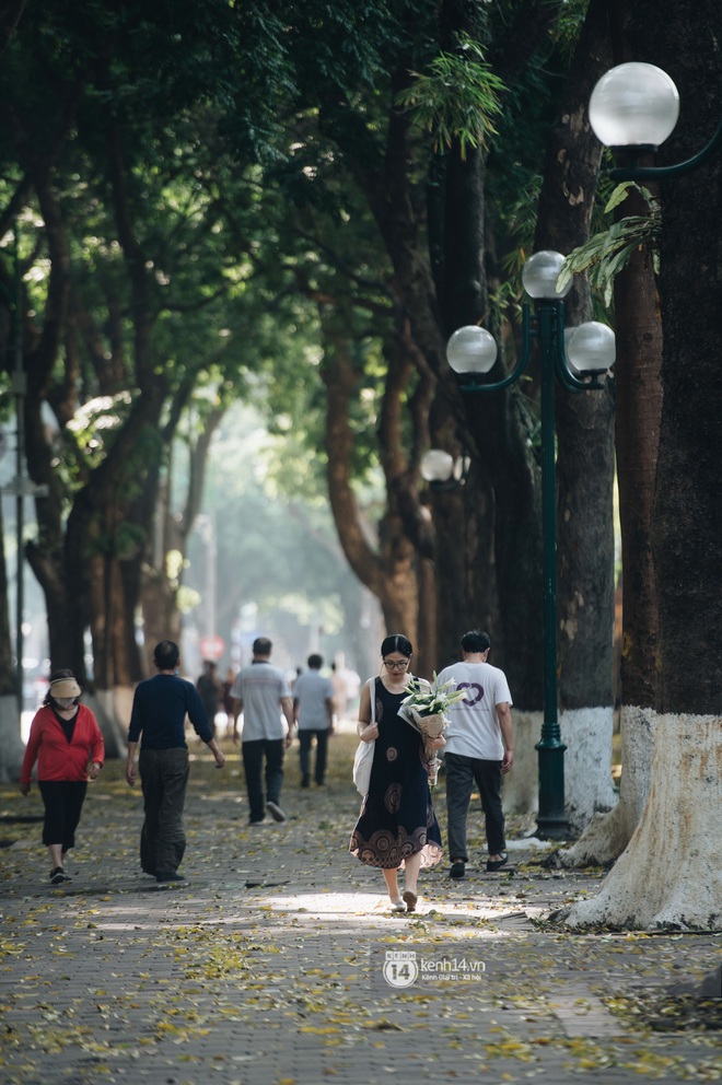 Hà Nội những ngày tháng 4, đi đâu cũng thấy bóng dáng loài hoa mỏng manh, tinh khôi và trong veo - Ảnh 4.