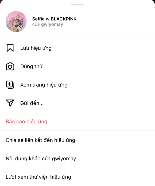 Cộng đồng mạng rầm rộ chia sẻ hình selfie với BLACKPINK trên Instagram, chuyện gì đây? - Ảnh 4.