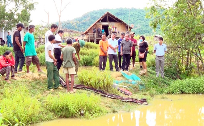 Tắm ở hồ c&aacute; nh&agrave; &ocirc;ng ngoại, 3 ch&aacute;u nhỏ đuối nước thương t&acirc;m - Ảnh 1.