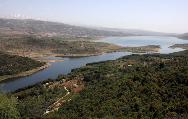 Hàng tấn cá chết nổi trắng trên hồ bị ô nhiễm ở Lebanon - Ảnh 3.