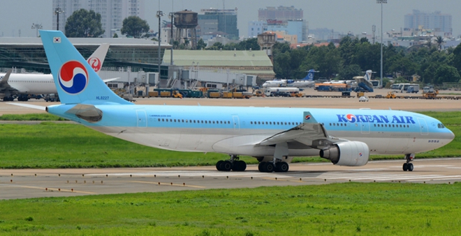 Máy bay không thể cất cánh vì đàn chim én tung tăng ở Sân bay Tân Sơn Nhất - Ảnh 1.