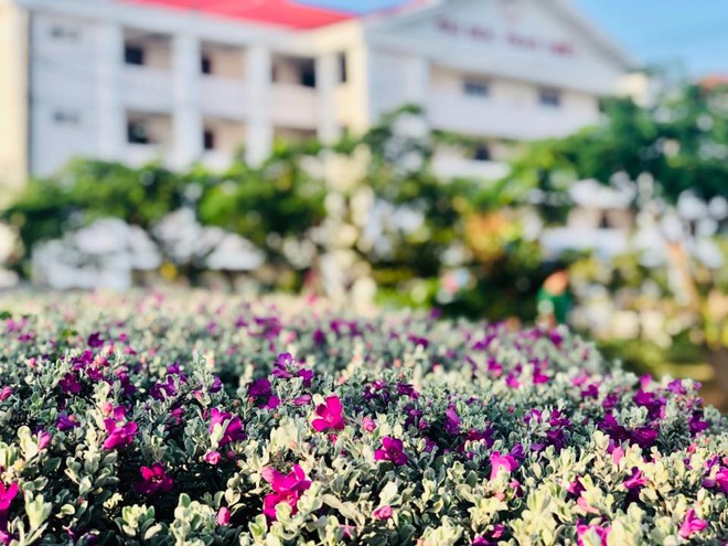 Việt Nam có một ngôi trường với kiến trúc độc đáo như resort cao cấp nhưng học phí thì quá dễ chịu, Hoa hậu trái đất cũng từng ghé thăm - Ảnh 6.