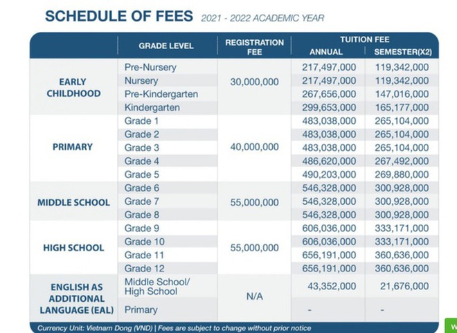 Trường quốc tế ở TP.HCM tăng học phí đến 53 triệu đồng - Ảnh 1.