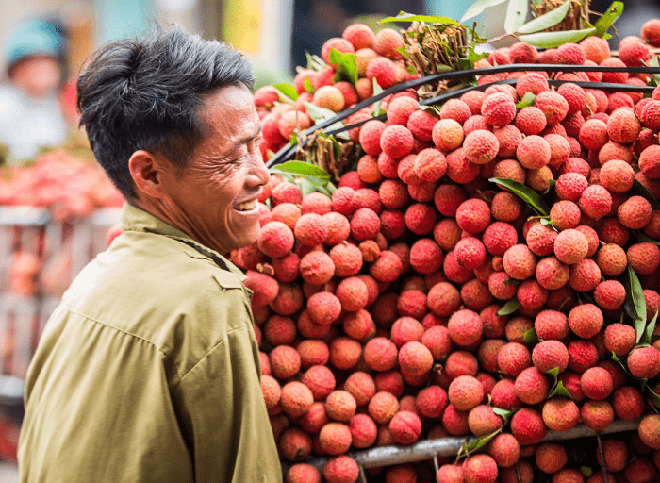 Thanh niên khoe vườn vải thiều rộng bao la, quả chín trĩu cả cành chẳng ai thèm hái: Sang đến nhiều địa phương giá không rẻ tí nào! - Ảnh 7.