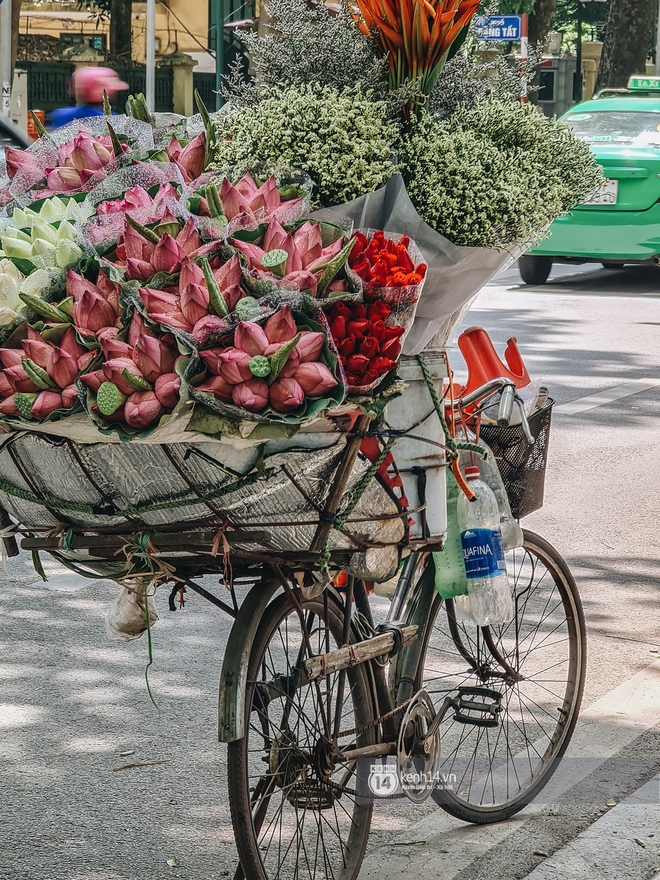 Hà Nội tháng 6 chói chang: Dù đang giữa mùa dịch vẫn đẹp nên thơ với những sắc hoa - Ảnh 6.