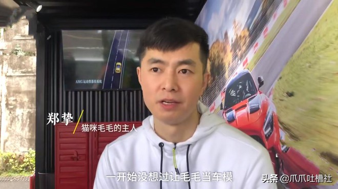 Chú mèo chuyên nằm nóc xe hơi chỉ chơi với ngủ nhận 50 triệu đồng/ buổi giúp sen đổi đời - Ảnh 6. Chú mèo chuyên nằm nóc xe hơi chỉ chơi với ngủ nhận 50 triệu đồng/ buổi giúp sen đổi đời - Ảnh 6.