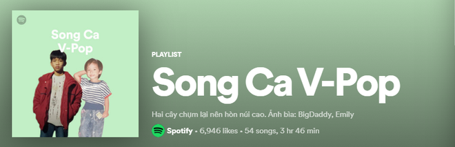 Lên ngay Spotify tìm playlist của dàn nghệ sĩ Vpop: Hoàng Thùy Linh, Bích Phương, Binz, AMEE,... đều bị đổi thành ai lạ hoắc thế này? - Ảnh 4.