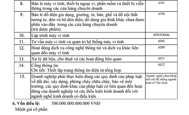 Người đ&agrave;n &ocirc;ng 35 tuổi ở TP.HCM đăng k&yacute; g&oacute;p hơn 500.000 tỉ đồng v&agrave;o nhiều c&ocirc;ng ty - Ảnh 1.