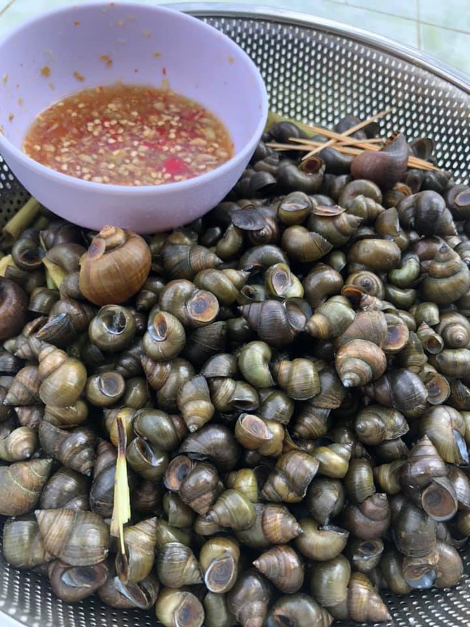 Cô nàng khiến dân mạng rùng mình vì cách “thu hoạch” ốc ở quê nhà, nhưng ai cũng thay đổi sắc thái 180 độ khi thấy kết quả cuối cùng - Ảnh 4. Cô nàng khiến dân mạng rùng mình vì cách “thu hoạch” ốc ở quê nhà, nhưng ai cũng thay đổi sắc thái 180 độ khi thấy kết quả cuối cùng - Ảnh 4.