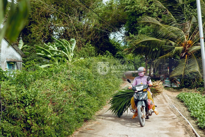 Trực tiếp đến Tiền Giang: Đau lòng khi thấy nhà Hồ Văn Cường bị bỏ hoang, hàng xóm kể lâu rồi không thấy bố mẹ ruột và Phi Nhung về thăm - Ảnh 23.