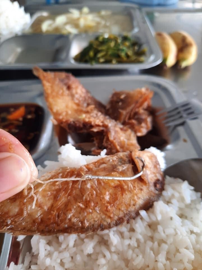 Đi ăn cơm hàng, cô nàng rùng mình khi tìm thấy lưỡi câu từ miệng con cá, dân mạng lại chỉ ra 1 điểm đáng “lạc quan” - Ảnh 3. Đi ăn cơm hàng, cô nàng rùng mình khi tìm thấy lưỡi câu từ miệng con cá, dân mạng lại chỉ ra 1 điểm đáng “lạc quan” - Ảnh 3.