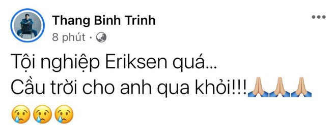 Diệu Nhi bật khóc, Trịnh Thăng Bình và dàn sao Việt cầu nguyện cho cầu thủ Eriksen tuyển Đan Mạch đột ngột ngã gục trên sân đấu Euro - Ảnh 6.