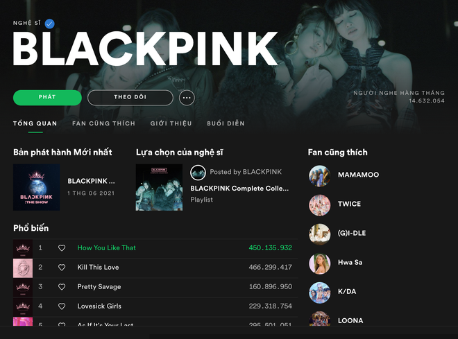 BLACKPINK lại lập kỷ lục mới, là nhóm nhạc nữ duy nhất làm được điều này trong năm 2021! - Ảnh 2.