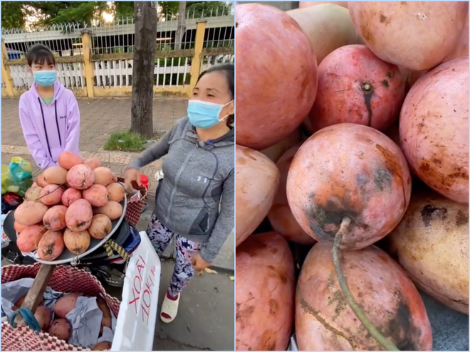 Lần đầu thấy trái xoài màu hồng có ngoại hình béo núc ních ở Việt Nam, thanh niên lên mạng hỏi giống gì thì bị doạ đến xanh mặt - Ảnh 3.