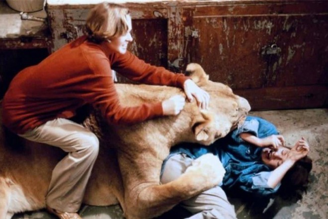Thành viên ekip bị sư tử nhai đầu, nữ chính bị vồ suýt mất thị giác, cả trăm người bị thương trong bộ phim nguy hiểm nhất lịch sử - Ảnh 3.