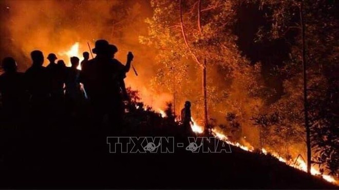 Ch&aacute;y rừng th&ocirc;ng ph&ograve;ng hộ gần 30 năm tuổi ở Thừa Thi&ecirc;n-Huế - Ảnh 2.