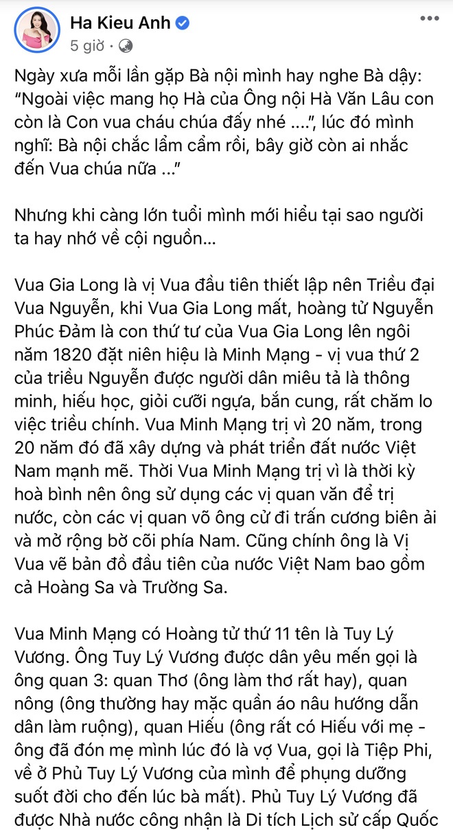 Hoa hậu Hà Kiều Anh đáp trả 1 tràng khi bị netizen thắc mắc về drama tự nhận là công chúa đời thứ 7 triều Nguyễn - Ảnh 6.