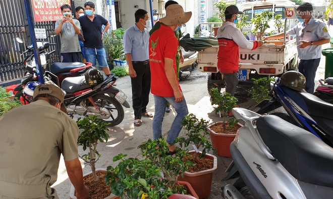 Góc cưng xỉu: Người dân Sài Gòn trong khu cách ly thi trồng cây táo, chờ táo nở hoa - Ảnh 1.