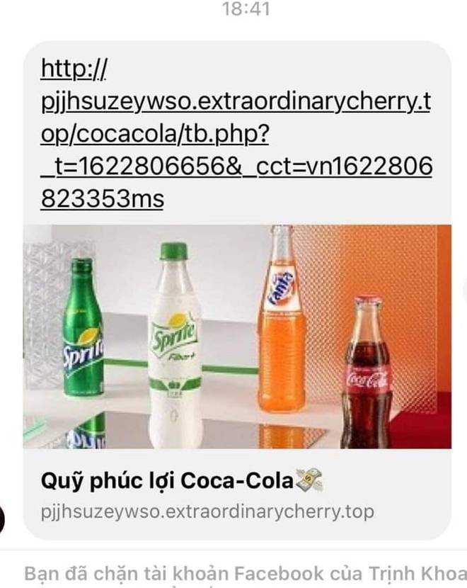 Cảnh báo: Xuất hiện đường link giả mạo Quỹ phúc lợi Coca-Cola trên Facebook, nhiều người dùng sập bẫy, tài khoản bị bốc hơi - Ảnh 5.