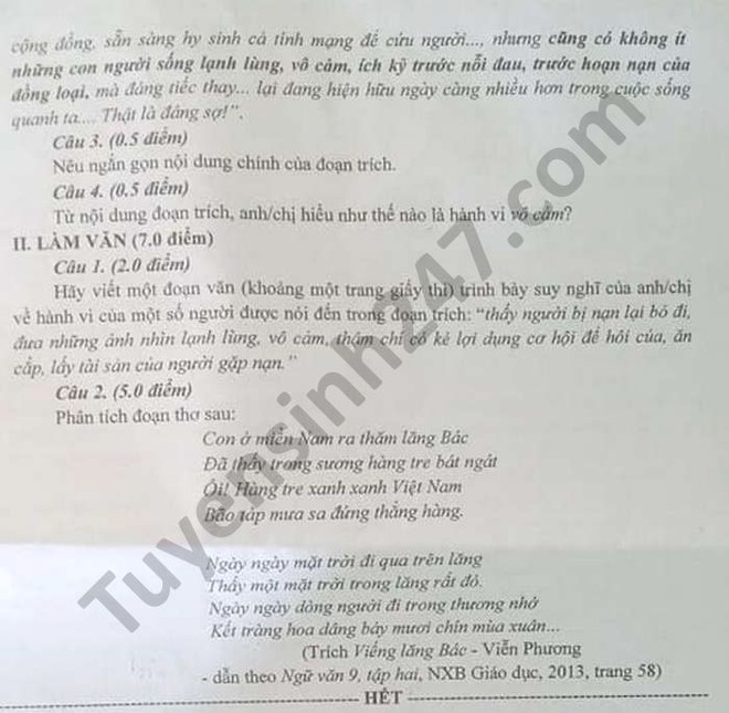 Đáp án đề thi môn Ngữ Văn vào lớp 10 của các tỉnh thành năm 2021 - Ảnh 12.