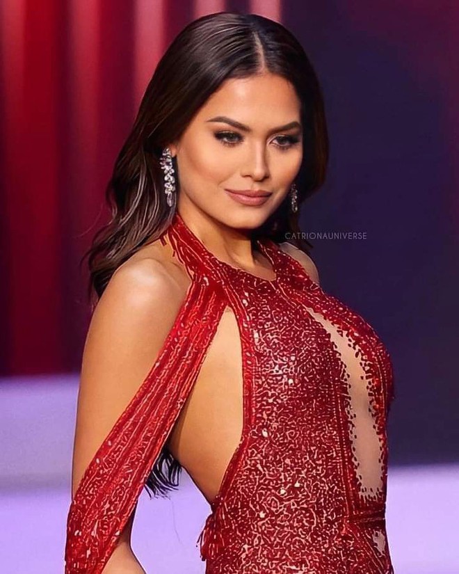 Sau 3 tuần đăng quang, Tân Miss Universe bỗng công khai bạn trai: Ngỡ ngàng còn là người nằm vùng trong cuộc thi! - Ảnh 5.