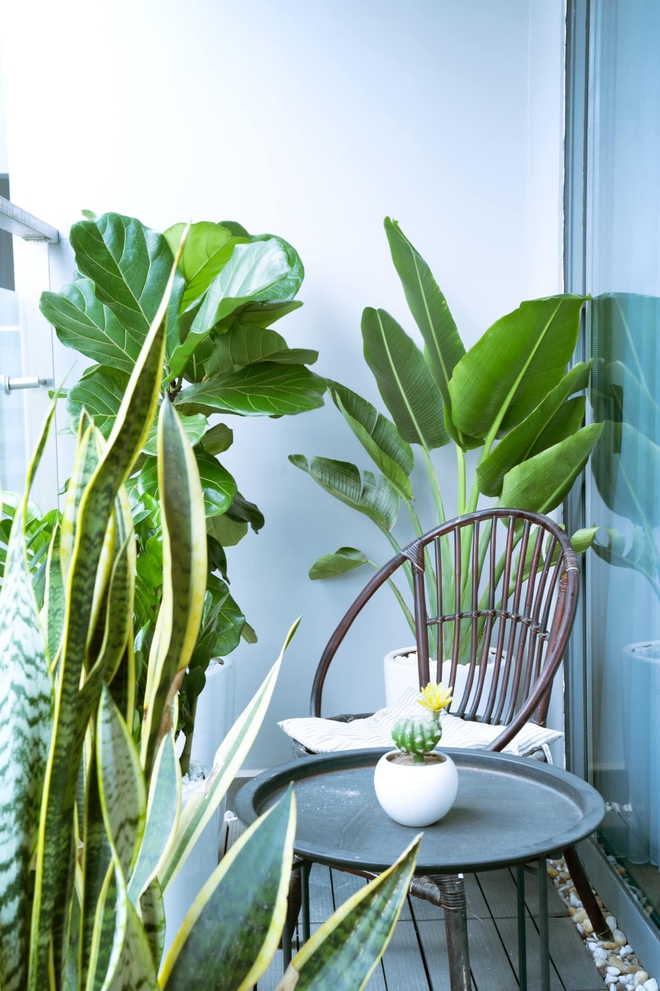 Nhờ 1 khoản vay đặc biệt, trai độc thân mạnh dạn mua căn hộ 3,2 tỷ, tỉ mỉ chọn từng món đồ nhỏ nhất - Ảnh 12.